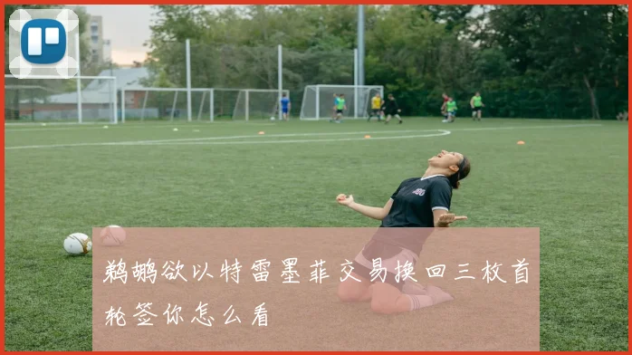 鹈鹕欲以特雷墨菲交易换回三枚首轮签你怎么看